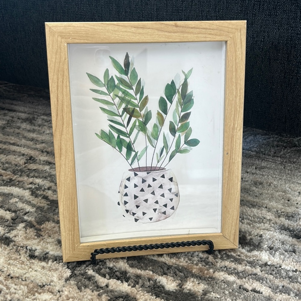 Table decir, green plant picture
